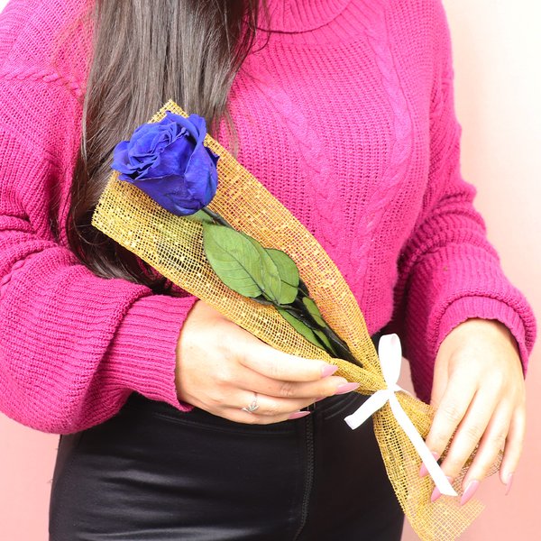 Gentileza de Rosa Encantada Azul