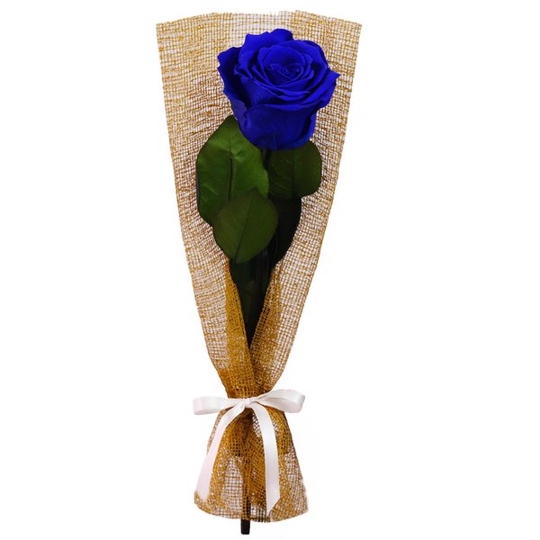 Gentileza de Rosa Encantada Azul