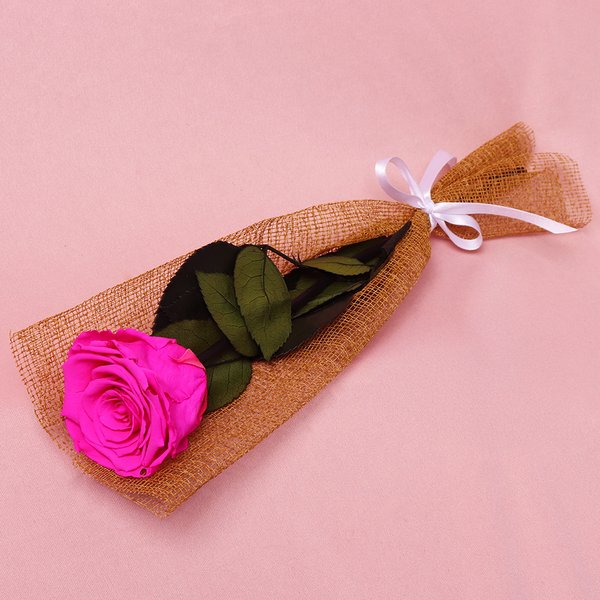 Gentileza de Rosa Encantada Pink