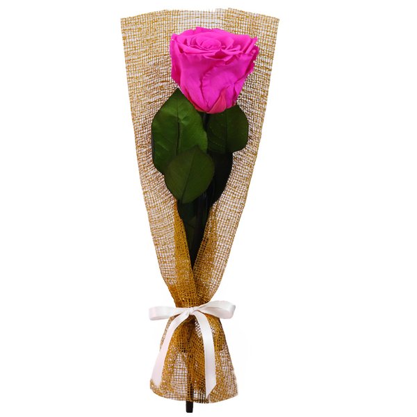 Gentileza de Rosa Encantada Pink
