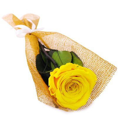 Gentileza de Rosa Encantada Amarelo