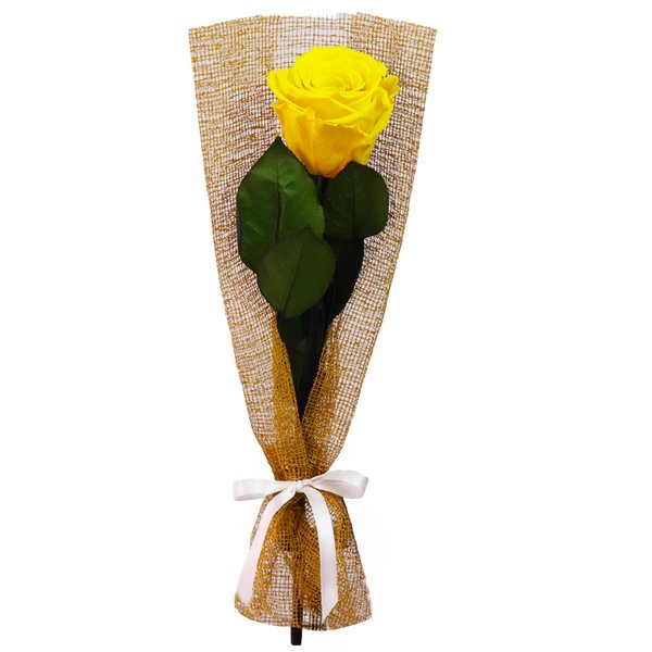 Gentileza de Rosa Encantada Amarelo