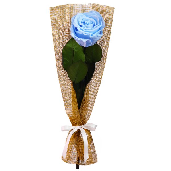 Gentileza de Rosa Encantada Azul Claro