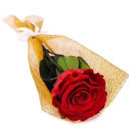 Imagem de Gentileza de Rosa Encantada Vermelho