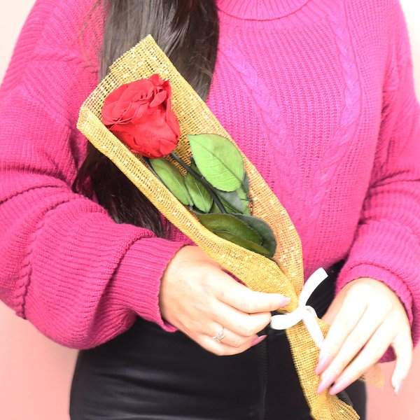 Gentileza de Rosa Encantada Vermelho