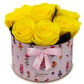 Lindas Rosas Encantadas Amarelas no Box