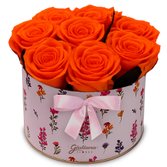 Lindas Rosas Encantadas Laranja no Box