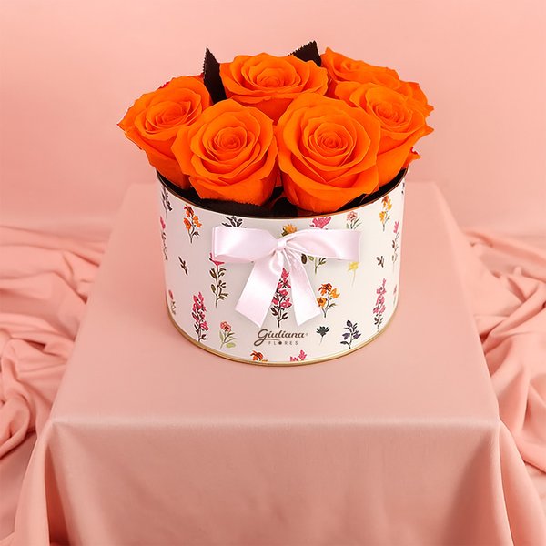 Lindas Rosas Encantadas Laranja no Box