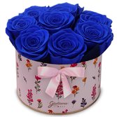 Lindas Rosas Encantadas Azul no Box