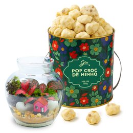 Imagem de Terrário Mini Mundo e Pipoca Giuliana Flores