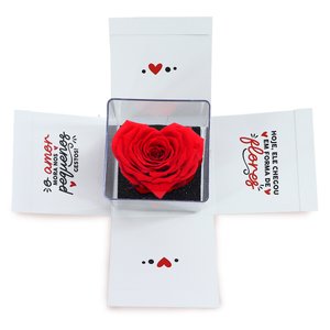 Imagem de Box Surpresa com Coração de Rosa Encantada