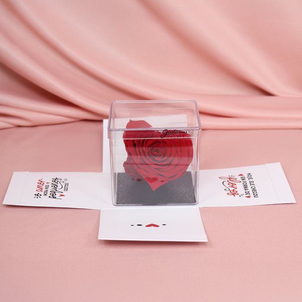 Box Surpresa com Coração de Rosa Encantada