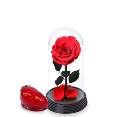 Bela Rosa Encantada Vermelha e Morango do Amor