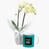 Mini Orquídea Rara branca na caneca