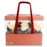 Sofisticada Rosas Encantadas Champanhe e flores secas