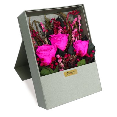 Esbeltas Rosas Encantadas Pink