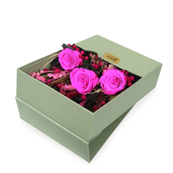 Esbeltas Rosas Encantadas Pink