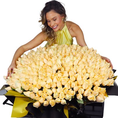 Mega Buquê de 500 Rosas Champanhe