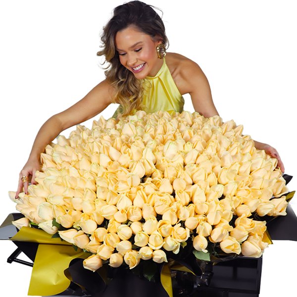 Mega Buquê de 500 Rosas Champanhe