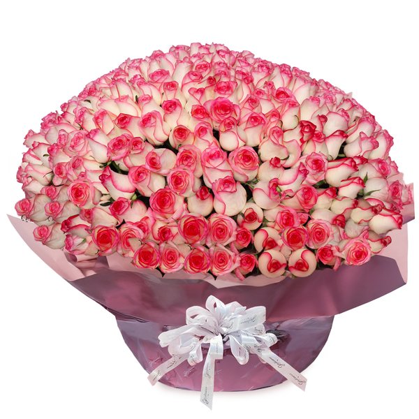Mega Buquê de 500 Rosas Cor de Rosa
