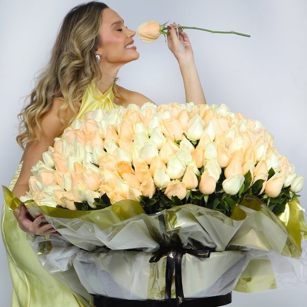 Mega Buquê de 500 Rosas Champanhe e Branca