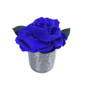 Mini Vaso Com Rosa Encantada Azul