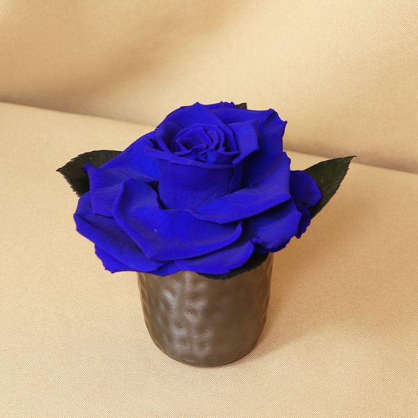 Mini Vaso Com Rosa Encantada Azul