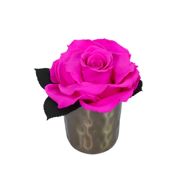 Mini Vaso Com Rosa Encantada Pink	