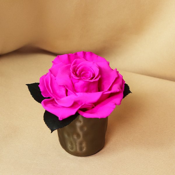 Mini Vaso Com Rosa Encantada Pink	