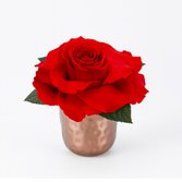 Mini Vaso Com Rosa Encantada Vermelha