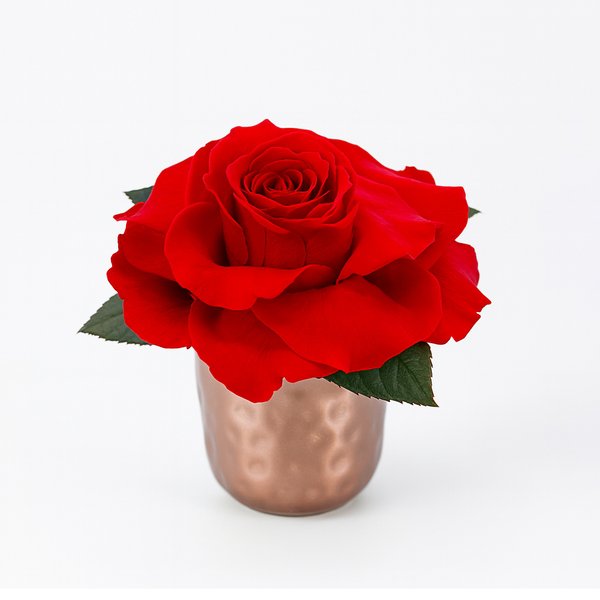 Mini Vaso Com Rosa Encantada Vermelha