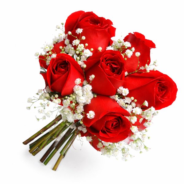 Buquê Inspiração com 6 Rosas Vermelhas