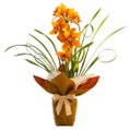 Orquídea Cymbidium Laranja
