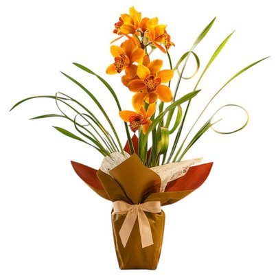 Orquídea Cymbidium Laranja