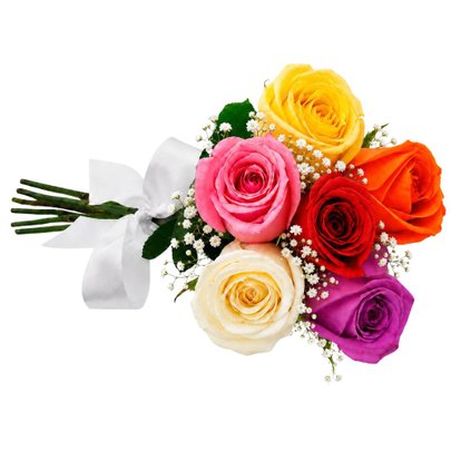 Buquê Inspiração com 6 Rosas Coloridas