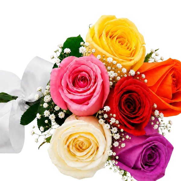 Buquê Inspiração com 6 Rosas Coloridas