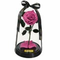 Fabulosa Rosa Encantada Violeta