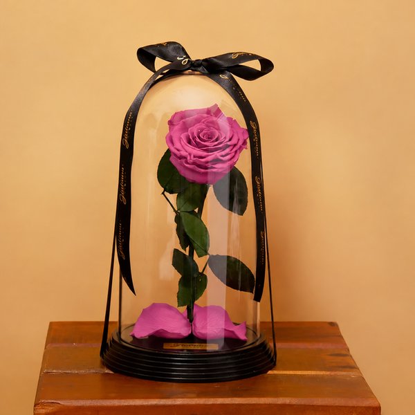 Fabulosa Rosa Encantada Violeta