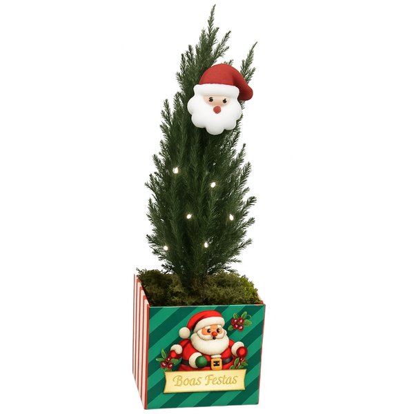 Pinheirinho Iluminado de Natal