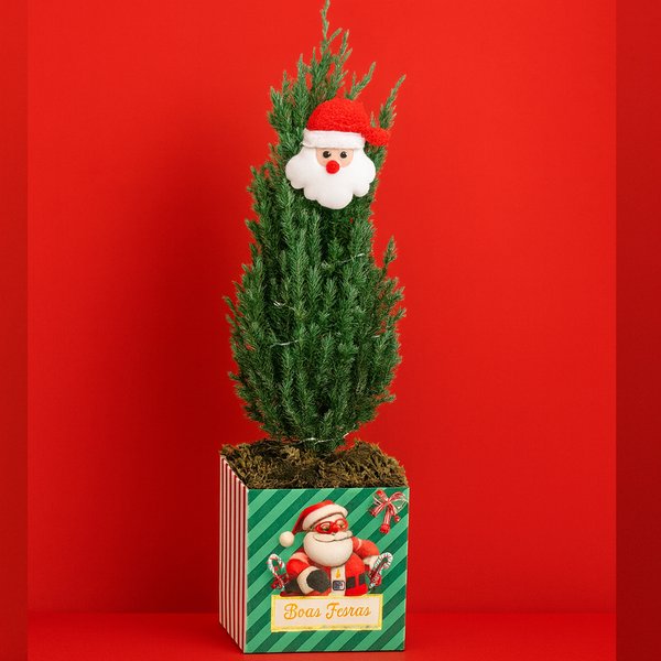 Pinheirinho Iluminado de Natal