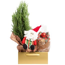 Imagem de Cesta Natal de Ouro com Pinheirinho e Panettone