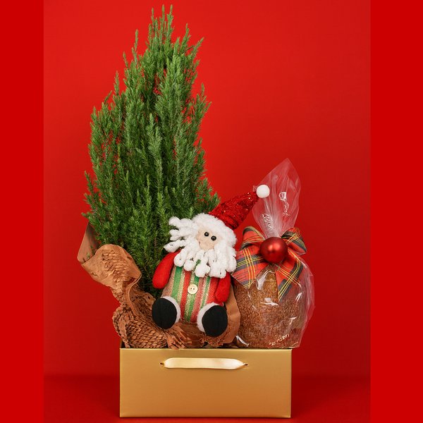 Cesta Natal de Ouro com Pinheirinho e Panettone