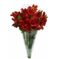 Buquê de Astromélias Vermelhas com 10 Unidades