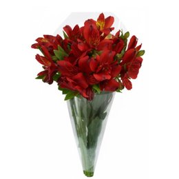 Imagem de Buquê de Astromélias Vermelhas com 10 Unidades