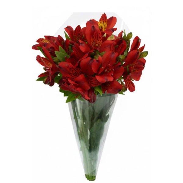 Buquê de Astromélias Vermelhas com 10 Unidades
