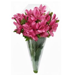 Imagem de Buquê de Astromélias Pink com 10 Unidades