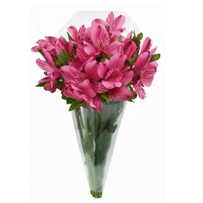 Buquê de Astromélias Pink com 10 Unidades