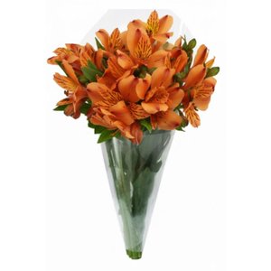 Imagem de Buquê de Astromélias Laranja com 10 Unidades