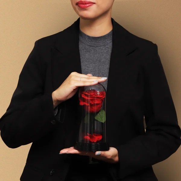 A Bela Rosa Encantada com Pincel e Esponja Boca Rosa