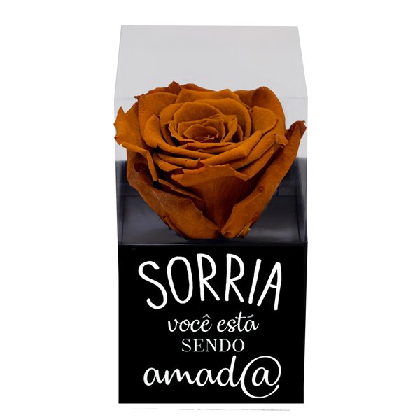 Rosa Encantada Cor Chocolate na Caixinha